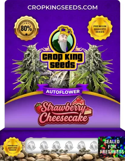 Strawberry Cheesecake Autoflower