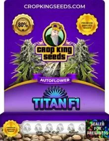 Titan F1 Autoflower