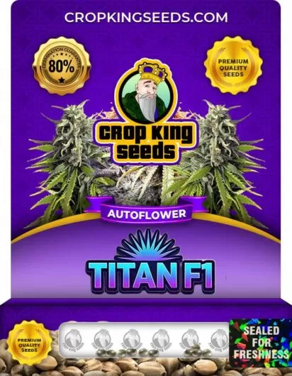 Titan F1 Autoflower