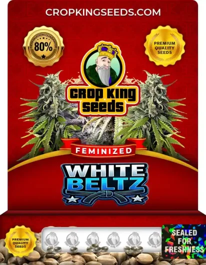 White Beltz Strain