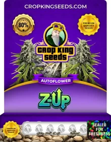 Z-Up Autoflower