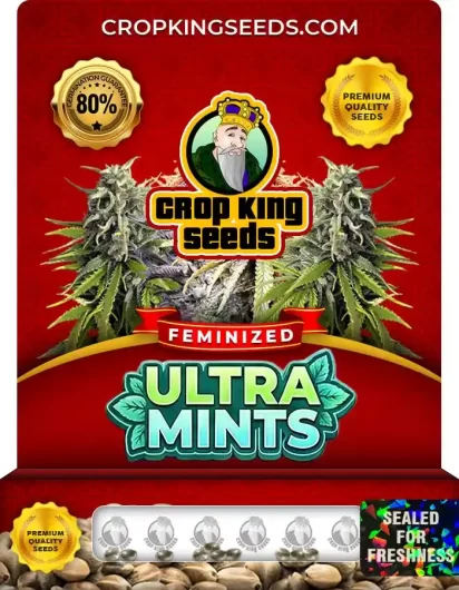 Ultra Mints Strain