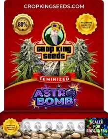 Astro Bomb Strain