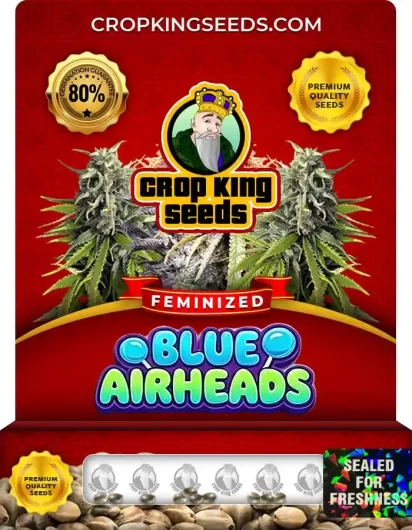 Blue Airheads Strain