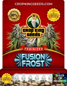 Fusion Frost Strain