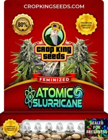 Atomic Slurricane Strain