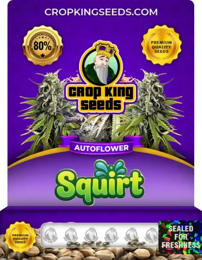 Squirt Autoflower