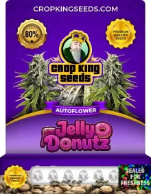 Jelly Donutz Autoflower