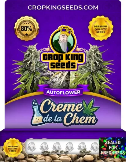 Creme de la Chem Autoflower