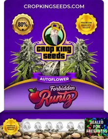 Forbidden Runtz Autoflower