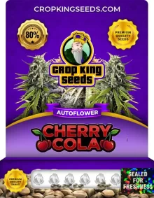 Cherry Cola Autoflower