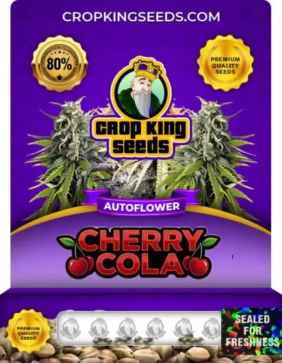 Cherry Cola Autoflower