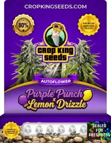 Purple Punch x Lemon Drizzle