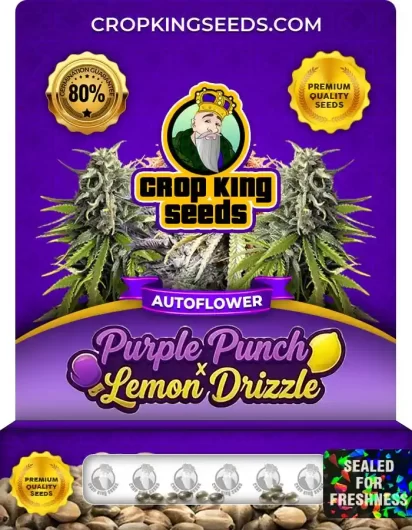 Purple Punch x Lemon Drizzle