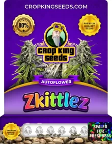 Zkittlez Autoflower