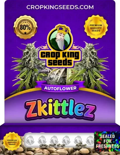 Zkittlez Autoflower