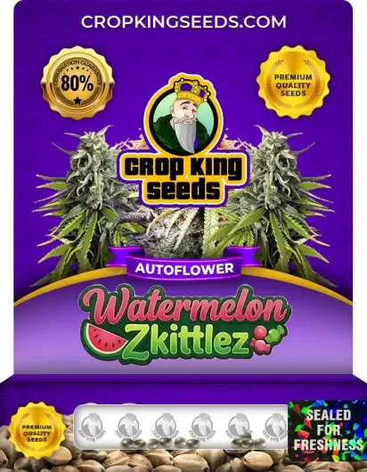 Watermelon Zkittlez Autoflower