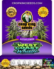 West Coast Whistle Autoflower