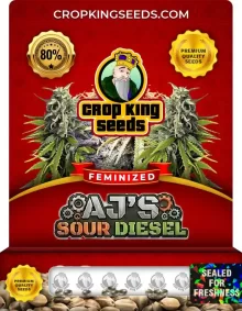 AJ’s Sour Diesel Strain