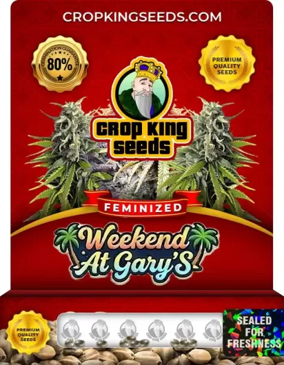 Weekend At Gary’s Strain