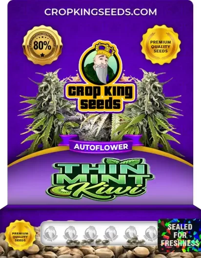 Thin Mint Kiwi Autoflower