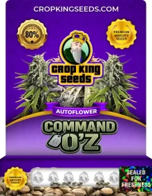 CommandO'z Autoflower