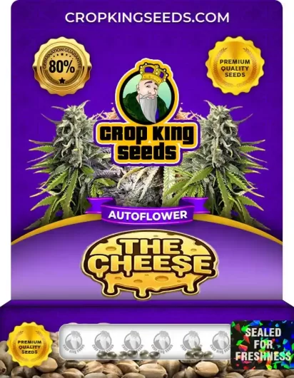 The Cheese Autoflower