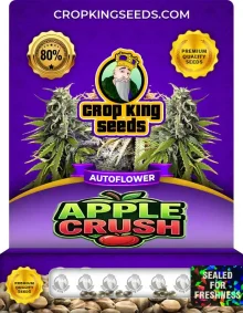 Apple Crush Autoflower
