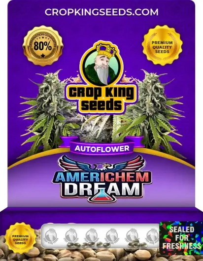 Americhem Dream Autoflower
