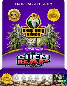 ChemBAP Autoflower