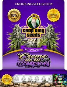 Crème de la Compton Autoflower