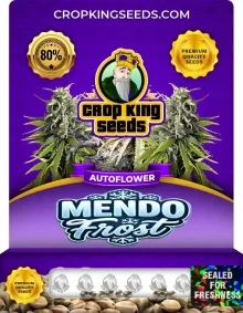 Mendo Frost Autoflower