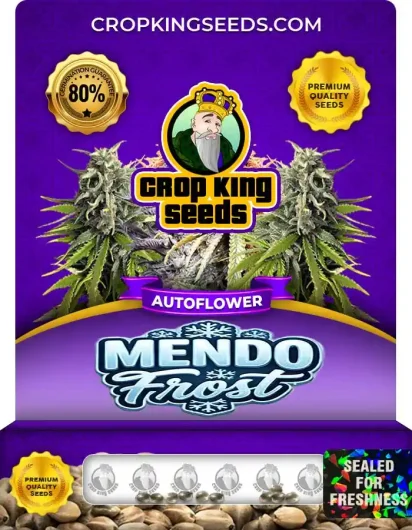 Mendo Frost Autoflower