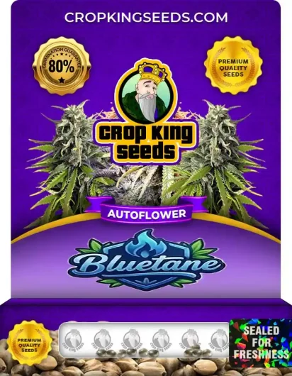 Bluetane Autoflower