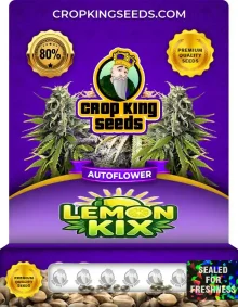 Lemon Kix Autoflower