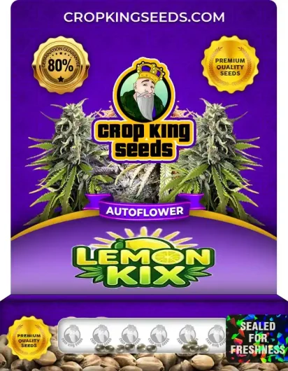 Lemon Kix Autoflower