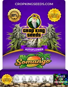 Somango Autoflower