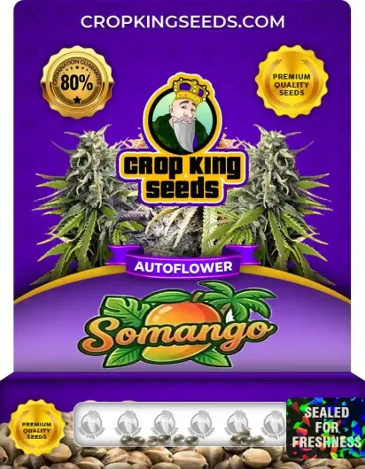 Somango Autoflower