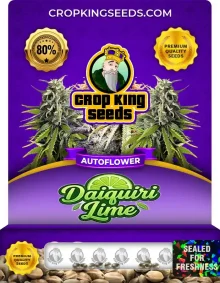 Auto Daiquiri Lime