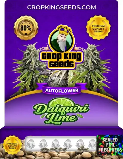 Auto Daiquiri Lime