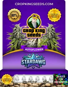 Stardawg Autoflower