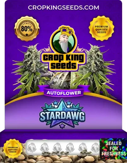 Stardawg Autoflower