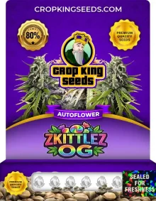 Zkittlez OG Autoflower