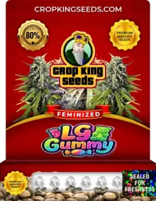 LG Gummy Strain