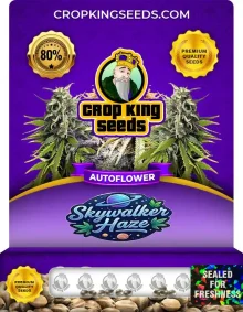 Auto Skywalker Haze