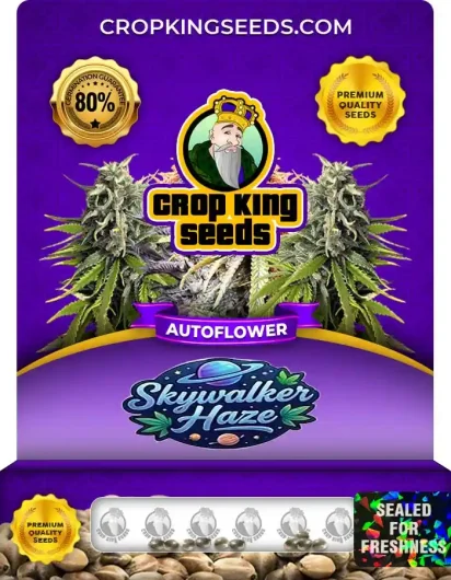 Auto Skywalker Haze