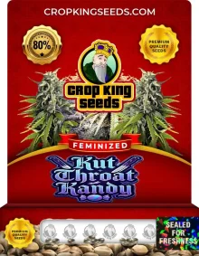 Kut Throat Kandy Strain