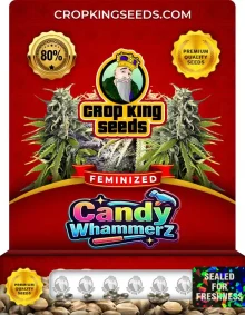 Candy Whammerz Strain