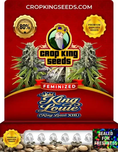 King Louie XIII Strain
