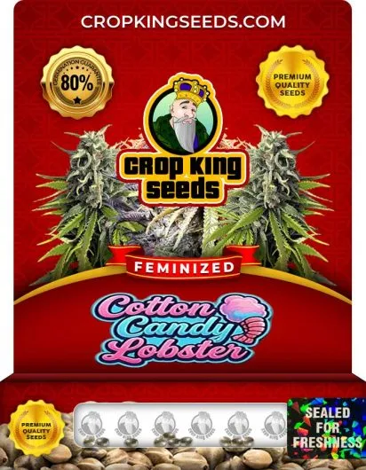 Cotton Candy Lobster Strain